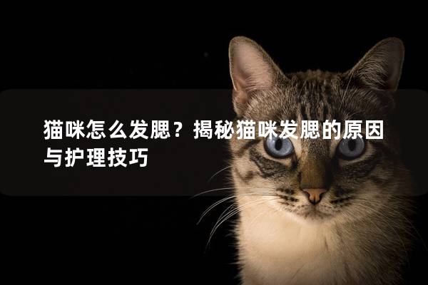 貓咪怎么發腮？揭秘貓咪發腮的原因與護理技巧
