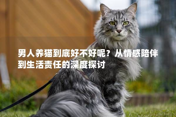 男人養貓到底好不好呢？從情感陪伴到生活責任的深度探討