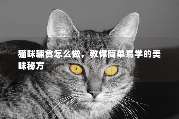 貓咪輔食怎么做，教你簡單易學的美味秘方