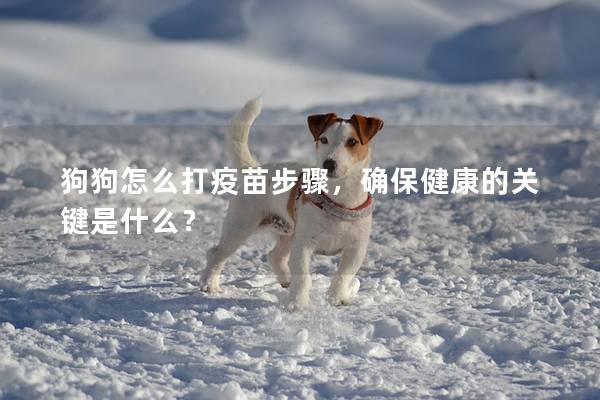 狗狗怎么打疫苗步驟,確保健康的關鍵是什么? 狗狗怎么打疫苗步驟,確保健康的關鍵是什么?