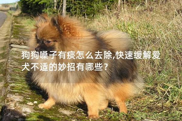 狗狗嗓子有痰怎么去除,快速緩解愛犬不適的妙招有哪些？