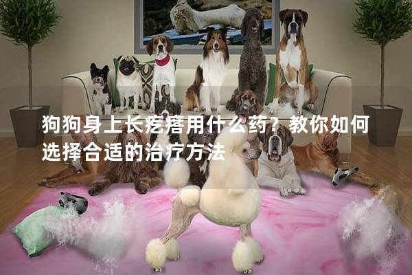 狗狗身上長(zhǎng)疙瘩用什么藥？教你如何選擇合適的治療方法