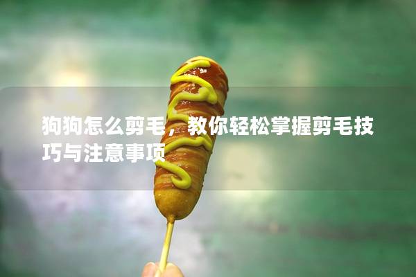 狗狗怎么剪毛，教你輕松掌握剪毛技巧與注意事項