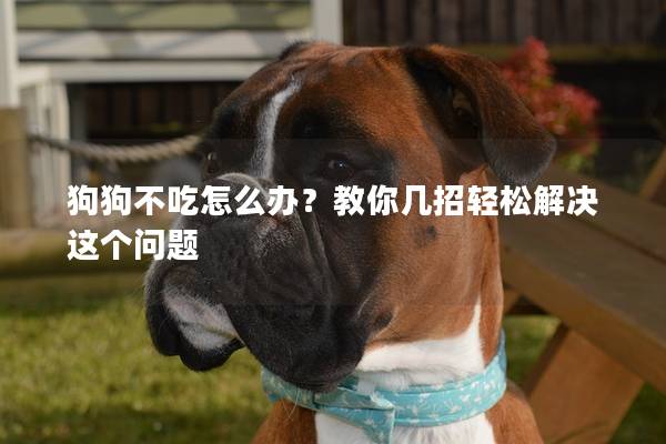 狗狗不吃怎么辦?教你幾招輕松解決這個問題 狗狗不吃怎么辦?教你幾招輕松解決這個問題