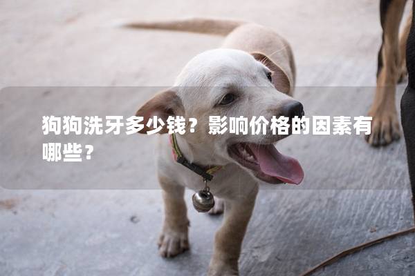 狗狗洗牙多少錢？影響價格的因素有哪些？