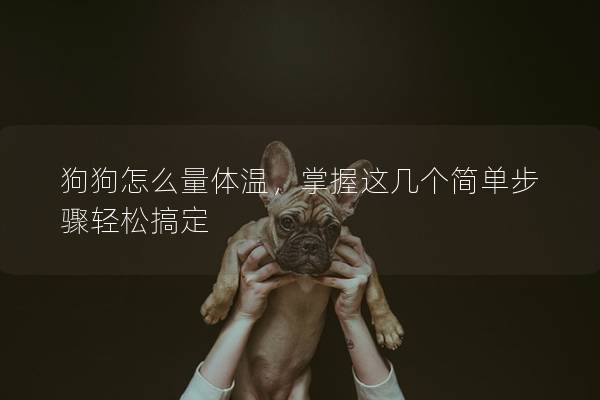 狗狗怎么量體溫，掌握這幾個簡單步驟輕松搞定