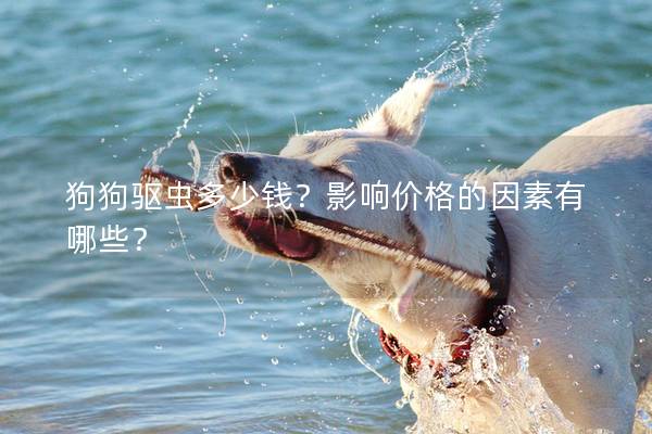 狗狗驅蟲多少錢？影響價格的因素有哪些？