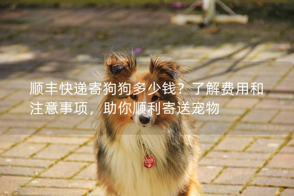 順豐快遞寄狗狗多少錢?了解費(fèi)用和注意事項(xiàng),助你順利寄送寵物 順豐快遞寄狗狗多少錢?了解費(fèi)用和注意事項(xiàng),助你順利寄送寵物