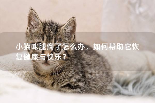 小貓咪腿瘸了怎么辦，如何幫助它恢復健康與快樂？