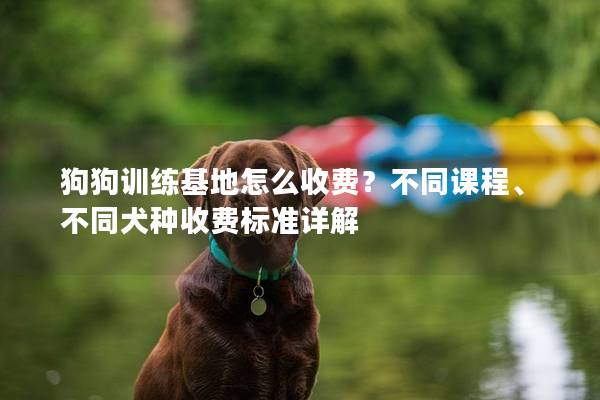 狗狗訓練基地怎么收費？不同課程、不同犬種收費標準詳解