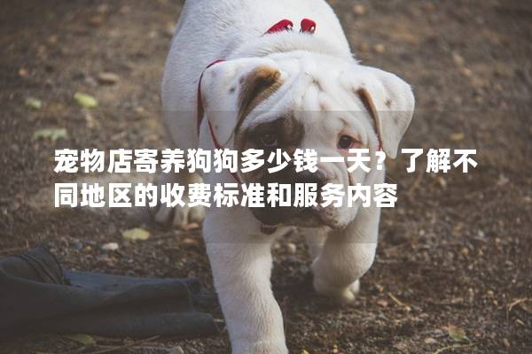 寵物店寄養狗狗多少錢一天？了解不同地區的收費標準和服務內容