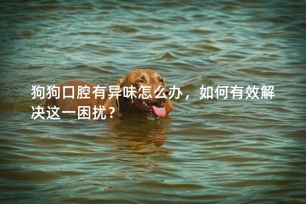 狗狗口腔有異味怎么辦，如何有效解決這一困擾？