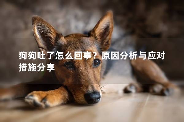 狗狗吐了怎么回事？原因分析與應(yīng)對措施分享