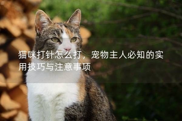 貓咪打針怎么打，寵物主人必知的實用技巧與注意事項