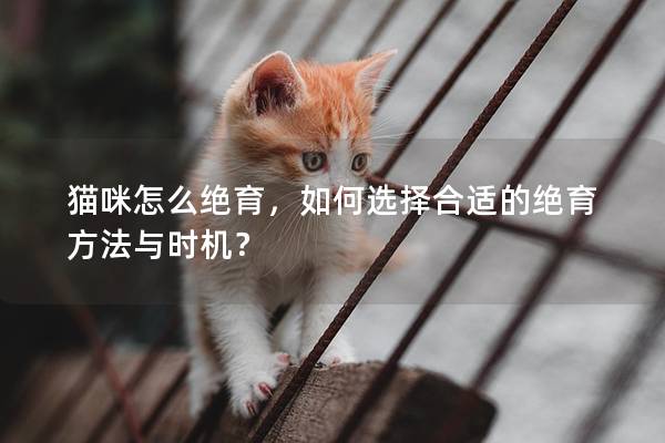 貓咪怎么絕育，如何選擇合適的絕育方法與時機？