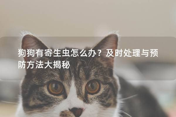 狗狗有寄生蟲怎么辦？及時處理與預防方法大揭秘