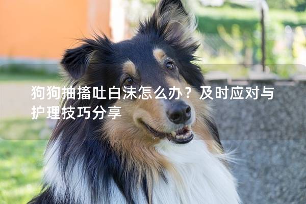 狗狗抽搐吐白沫怎么辦？及時應對與護理技巧分享