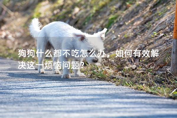 狗狗什么都不吃怎么辦，如何有效解決這一煩惱問題？