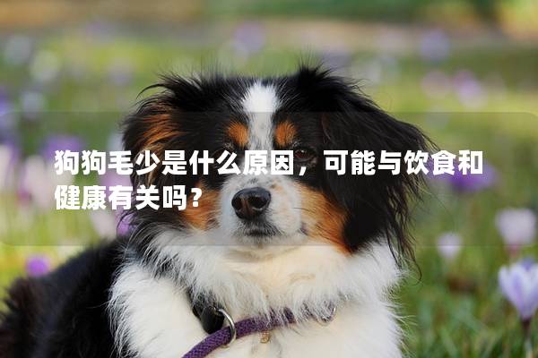 狗狗毛少是什么原因，可能與飲食和健康有關嗎？