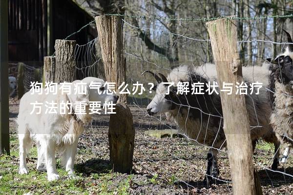 狗狗有疝氣怎么辦？了解癥狀與治療方法的重要性