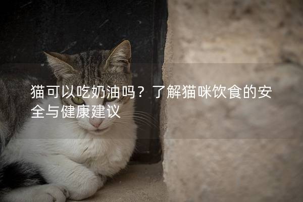 貓可以吃奶油嗎？了解貓咪飲食的安全與健康建議