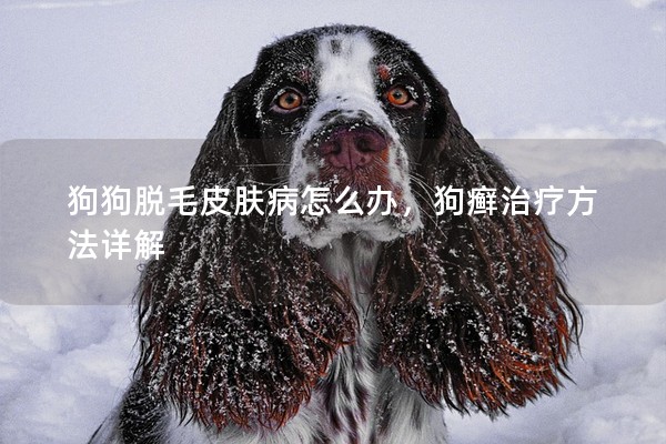 狗狗脫毛皮膚病怎么辦，狗癬治療方法詳解
