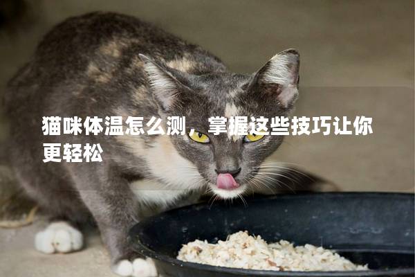 貓咪體溫怎么測，掌握這些技巧讓你更輕松
