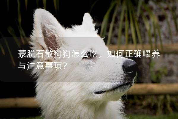 蒙脫石散狗狗怎么吃，如何正確喂養(yǎng)與注意事項？