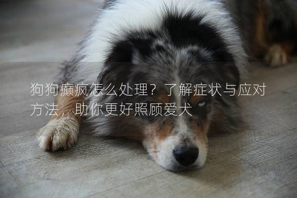 狗狗癲瘋怎么處理？了解癥狀與應(yīng)對(duì)方法，助你更好照顧愛犬