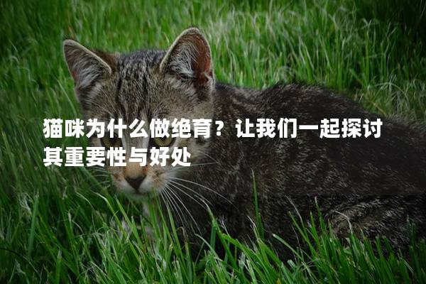 貓咪為什么做絕育？讓我們一起探討其重要性與好處