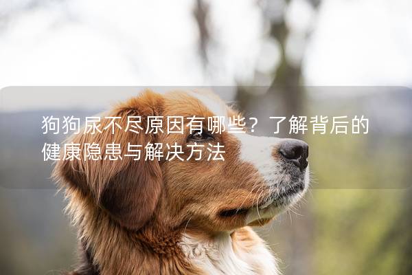 狗狗尿不盡原因有哪些？了解背后的健康隱患與解決方法