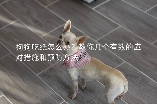 狗狗吃紙怎么辦？教你幾個有效的應(yīng)對措施和預(yù)防方法