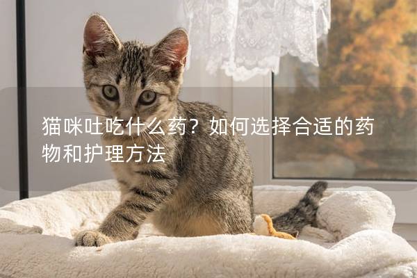 貓咪吐吃什么藥？如何選擇合適的藥物和護理方法
