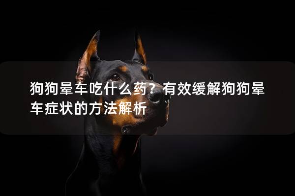 狗狗暈車吃什么藥？有效緩解狗狗暈車癥狀的方法解析