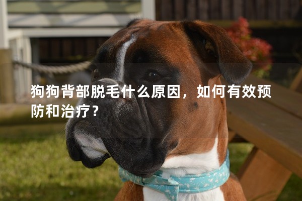 狗狗背部脫毛什么原因，如何有效預防和治療？