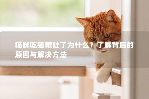 貓咪吃貓糧吐了為什么？了解背后的原因與解決方法