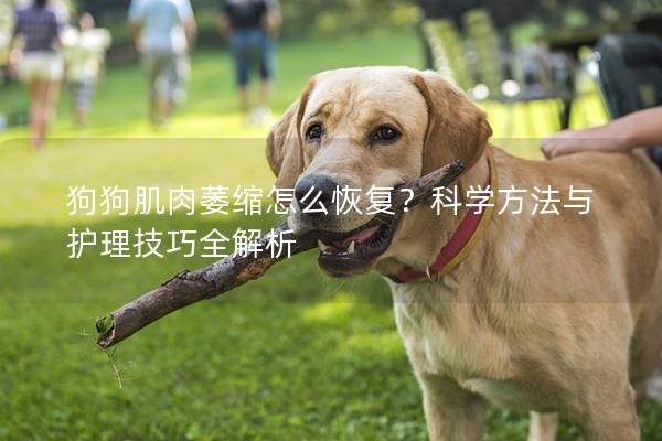 狗狗肌肉萎縮怎么恢復？科學方法與護理技巧全解析