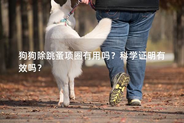 狗狗除跳蚤項(xiàng)圈有用嗎？科學(xué)證明有效嗎？