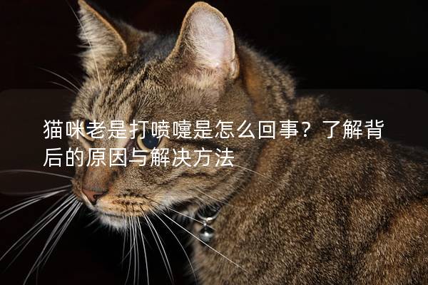 貓咪老是打噴嚏是怎么回事？了解背后的原因與解決方法
