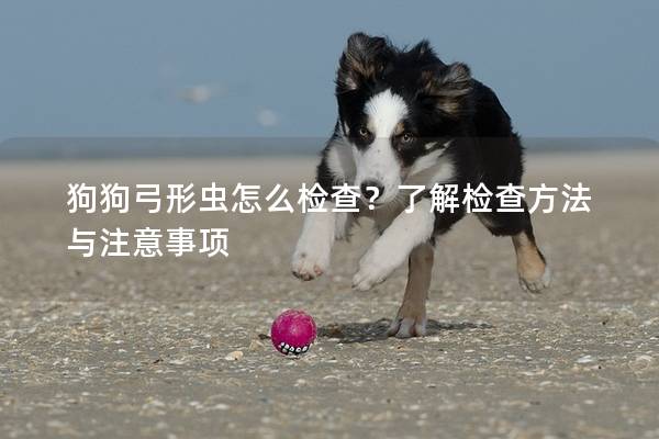 狗狗弓形蟲怎么檢查？了解檢查方法與注意事項(xiàng)