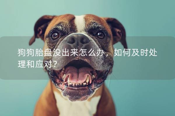狗狗胎盤沒出來怎么辦，如何及時處理和應(yīng)對？