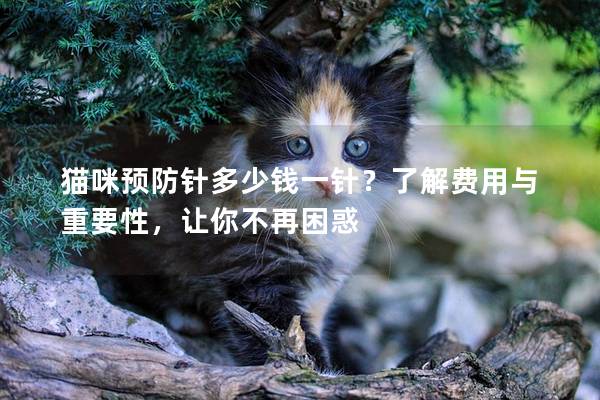 貓咪預防針多少錢一針？了解費用與重要性，讓你不再困惑