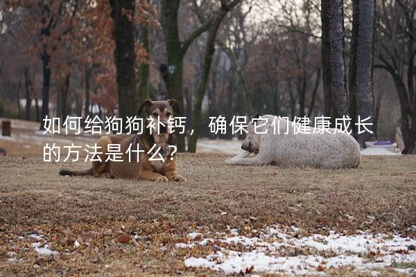 如何給狗狗補(bǔ)鈣，確保它們健康成長的方法是什么？
