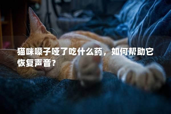 貓咪嗓子啞了吃什么藥，如何幫助它恢復聲音？