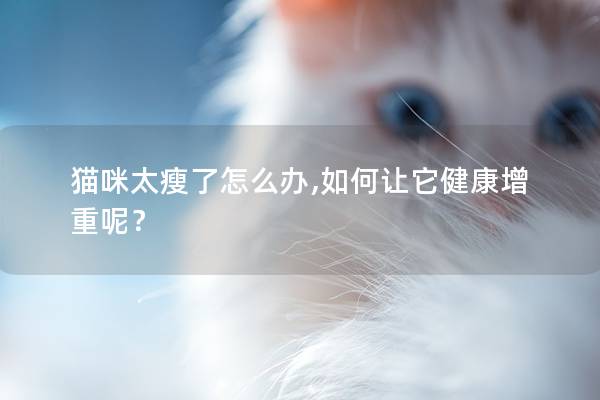 貓咪太瘦了怎么辦,如何讓它健康增重呢？