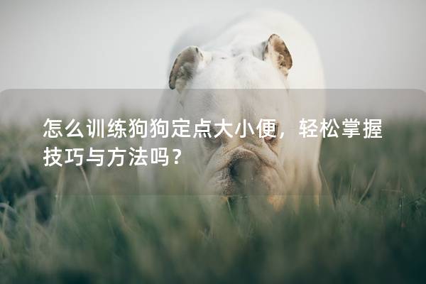 怎么訓(xùn)練狗狗定點(diǎn)大小便，輕松掌握技巧與方法嗎？