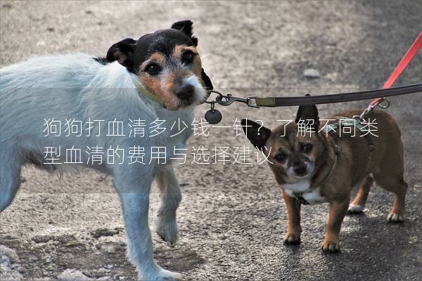 狗狗打血清多少錢一針？了解不同類型血清的費(fèi)用與選擇建議
