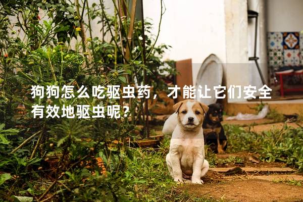 狗狗怎么吃驅(qū)蟲藥，才能讓它們安全有效地驅(qū)蟲呢？