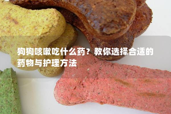 狗狗咳嗽吃什么藥？教你選擇合適的藥物與護理方法