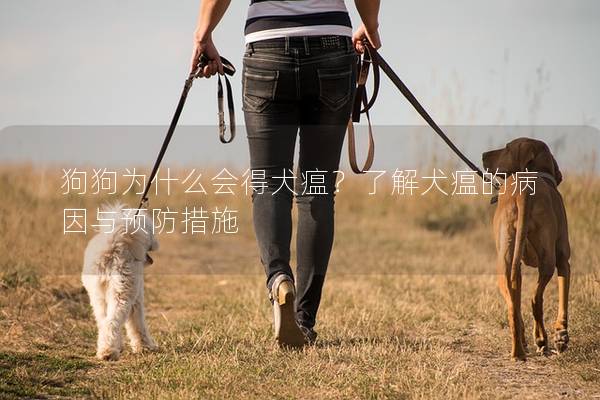 狗狗為什么會得犬瘟？了解犬瘟的病因與預防措施